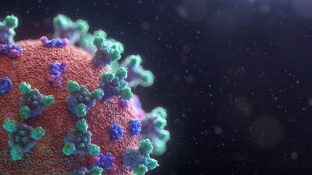 Coronavirus, revisione, bollo, patente, e foglio rosa: le nuove scadenze
